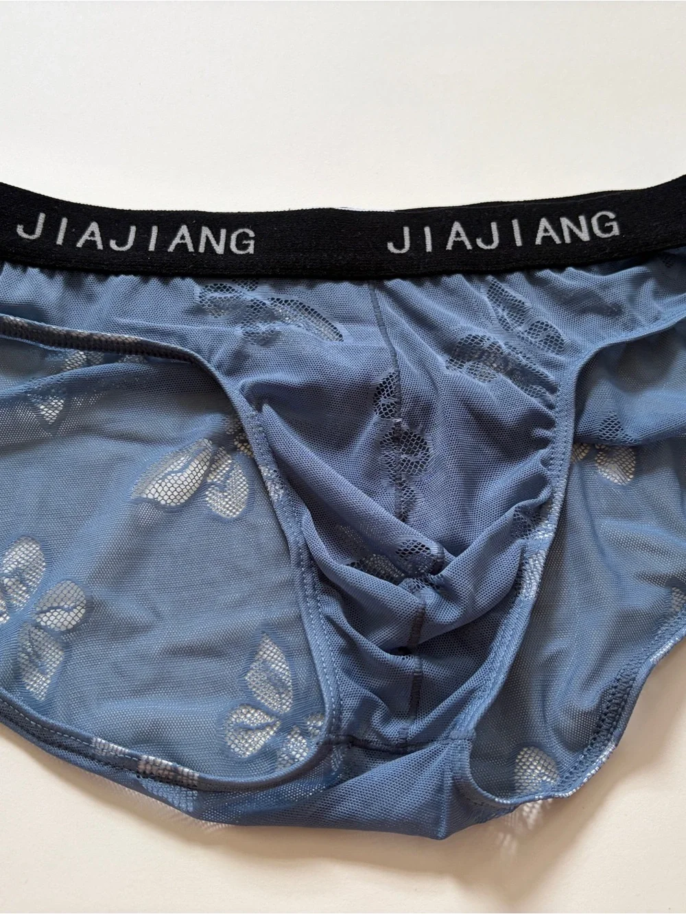 Jiajiang Men's Blue Sheer Mesh Briefs with Floral Accents